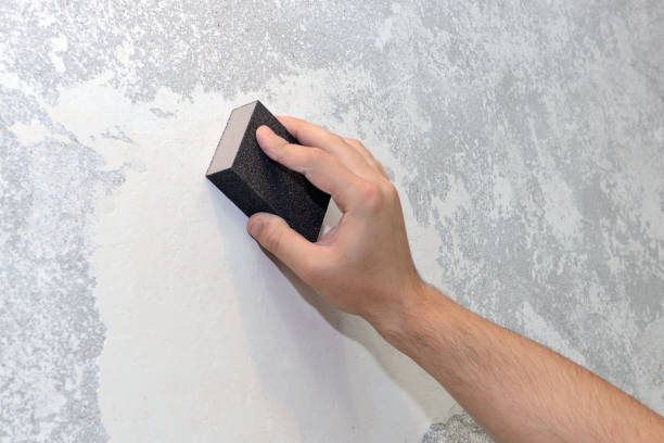 Best Mold-Related Health Consultation  in Inman, KS