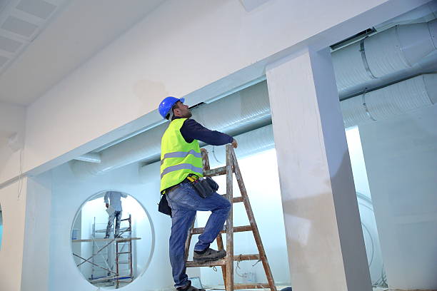 Best Basement Mold Removal  in Inman, KS